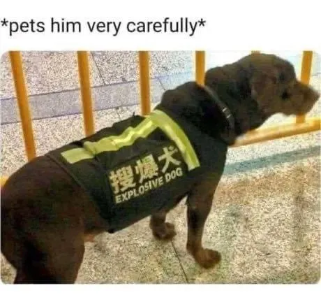 Petting the Explosive Dog