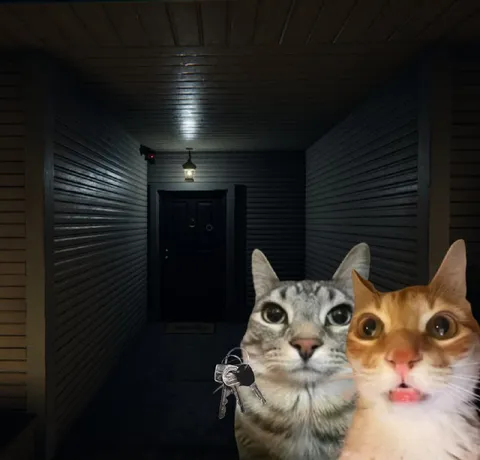 Коты пришли за ключами