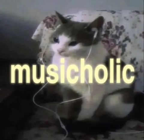 Музыкальный кот