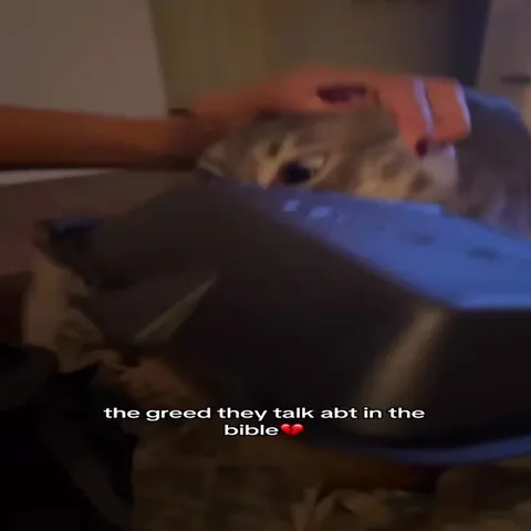 Cat Embodies Greed