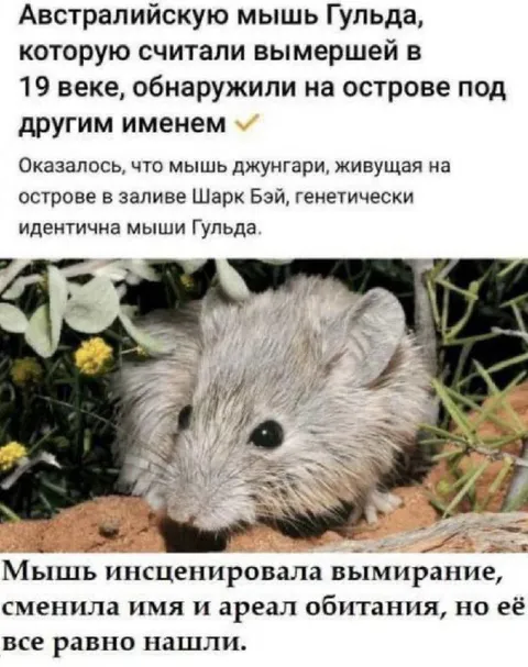 Мышь инсценировала вымирание