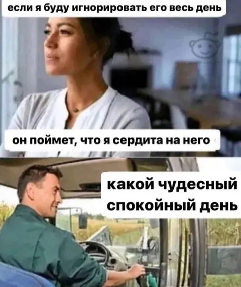 Игнорируешь весь день