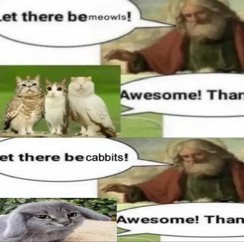 Let There Be Cabbits