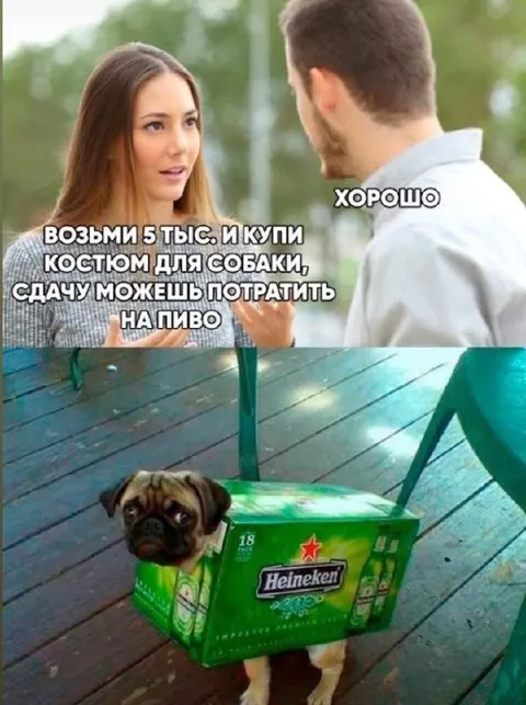 Костюм для собаки и пиво