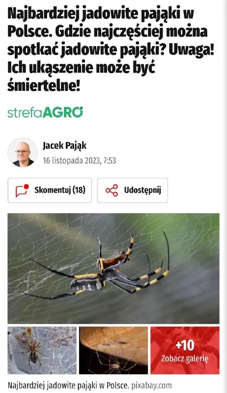 Najbardziej jadowite pająki w Polsce
