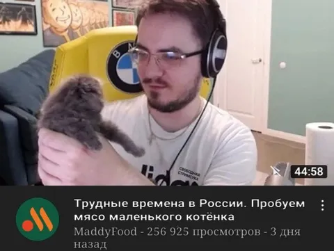 Пробуем мясо маленького котёнка