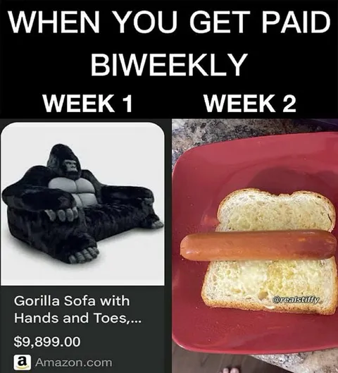 Biweekly Paycheck Reality