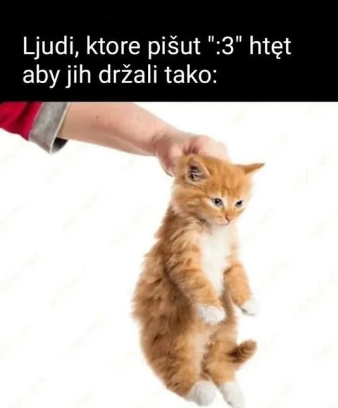Lidé píšící ":3"