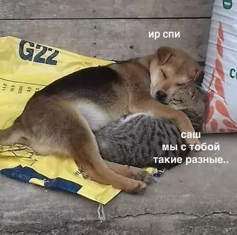 Мы с тобой такие разные