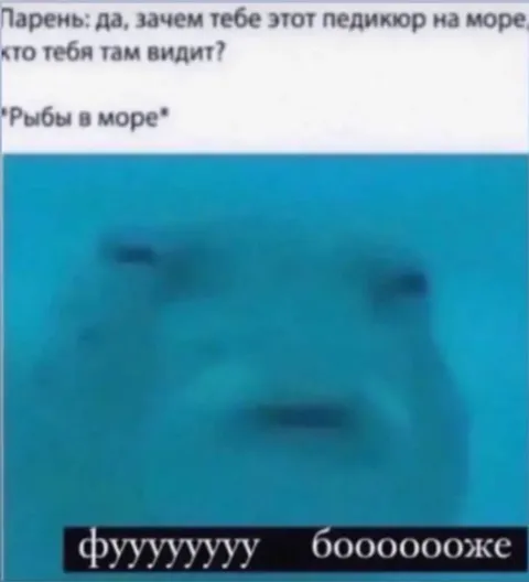 Рыбы в море видят всё