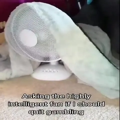 Asking the Fan About Gambling