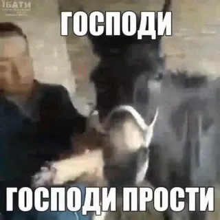 Господи, прости