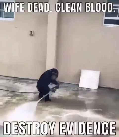 Wife Dead Clean Blood