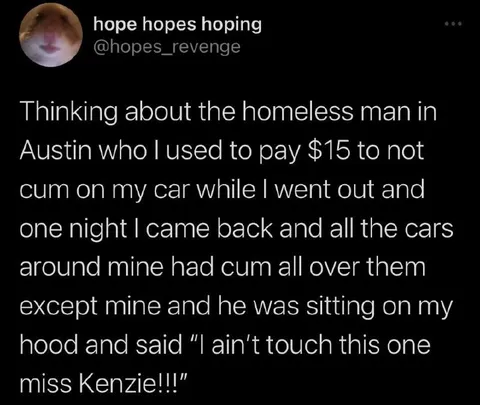 The Homeless Car Protector