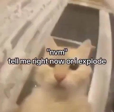Nvm Tell Me or I Explode Cat