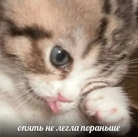 Опять не легла пораньше