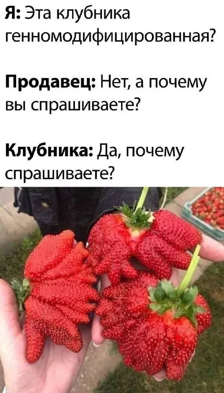Генномодифицированная клубника