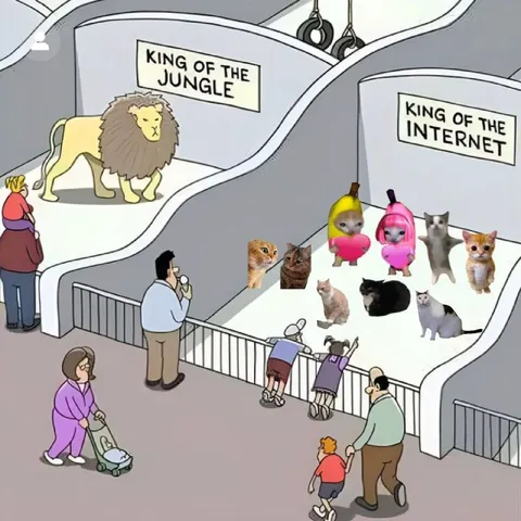 King of the Internet