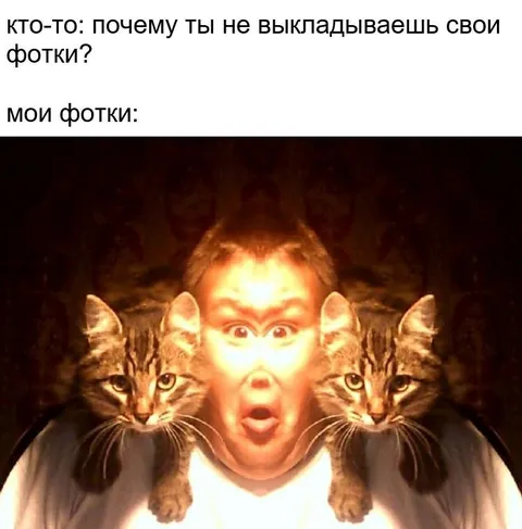 Мои фотки с котами