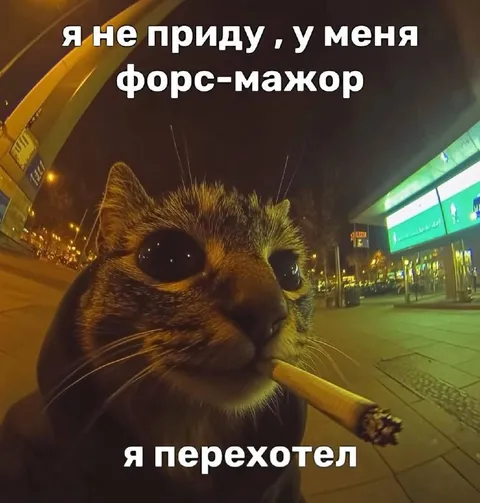 Я не приду, у меня форс-мажор