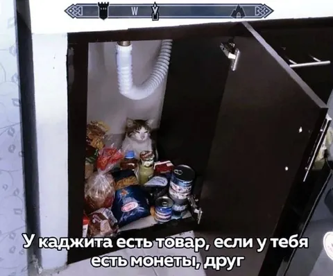 У каджита есть товар