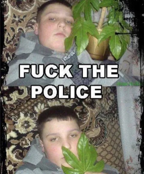 Fuck the Police Plant Hideout