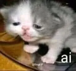 Sad Kitten Says AI
