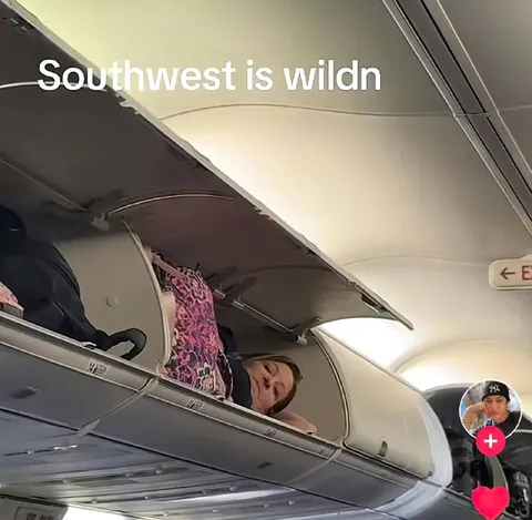 Southwest Is Wild
