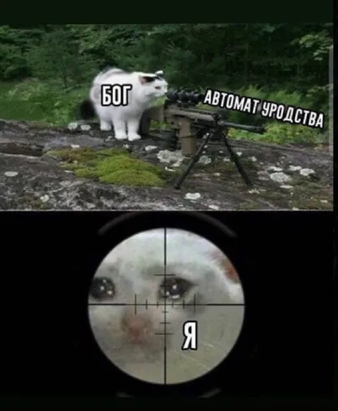 Бог и автомат уродства
