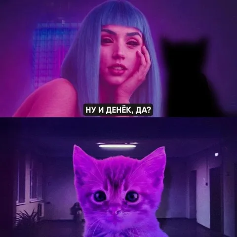 Ну и денёк, да?