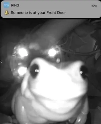 Someone Is at Your Front Door