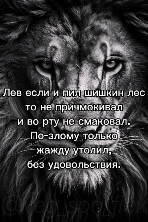 Лев без удовольствия пил Шишкин лес