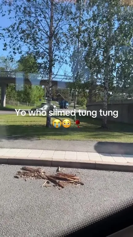 Who Slimed Tung Tung