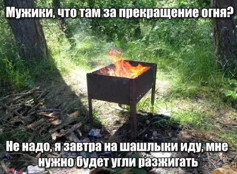 Угли для шашлыков завтра