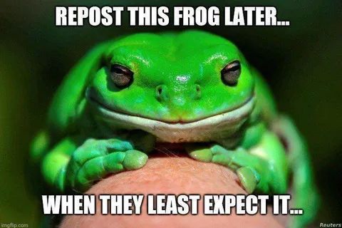 Repost This Frog Later