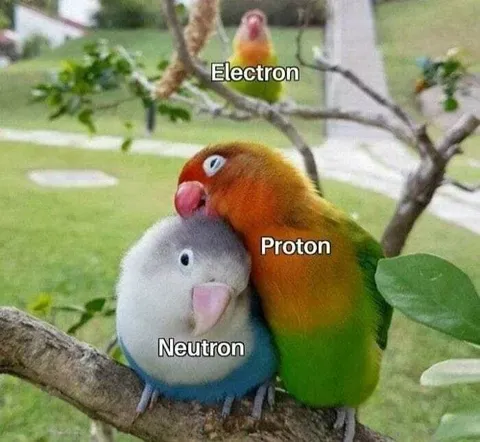 Parrot Proton Neutron Electron