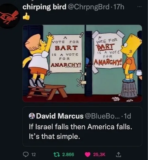 Bart Votes for Anarchy