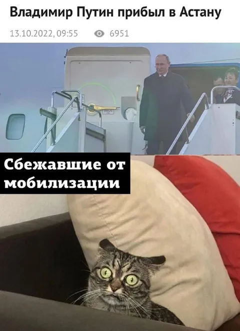 Сбежавшие от мобилизации