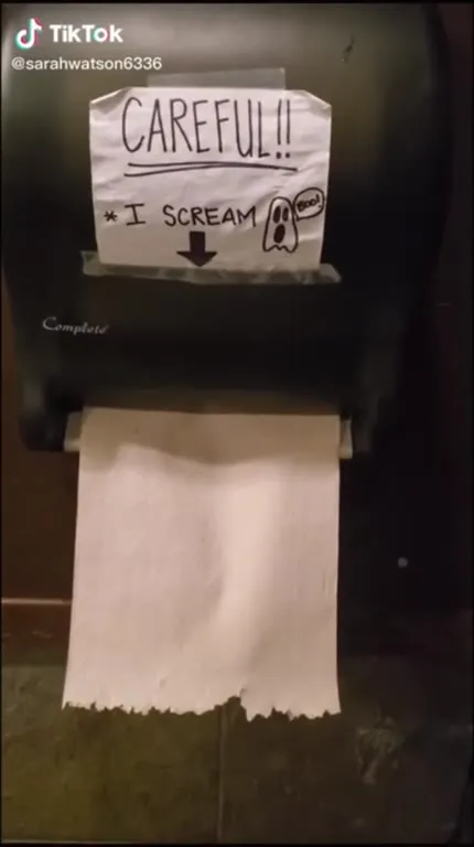 The Toilet Paper Screams