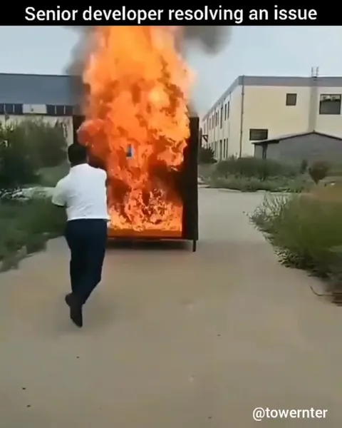 Senior Developer Fixes the Bug