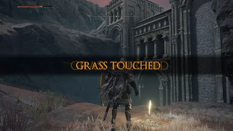 Grass Touchedd in Elden Ring