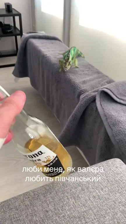 Люби мене, як Валера пивчанський