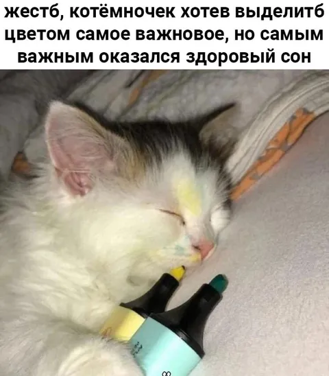 Котёночек выбрал здоровый сон