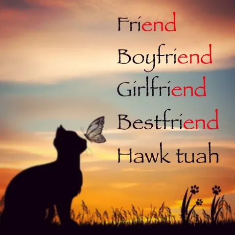Hawk Tuah Bestfriend