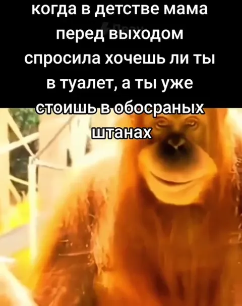 Когда мама спросила про туалет