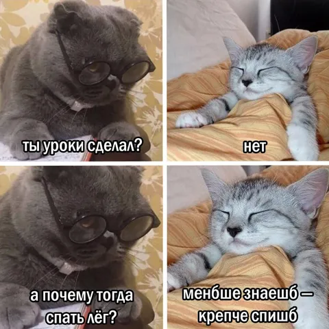 Уроки не сделал, но спать лёг