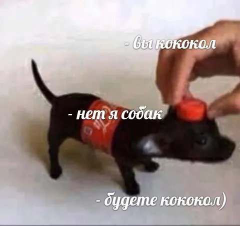 Котококол и собак