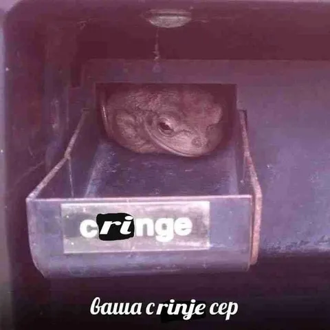 Ваша cringe сер