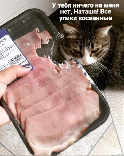 Улики косвенные, Наташа