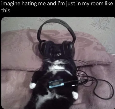Cat DJ in My Room